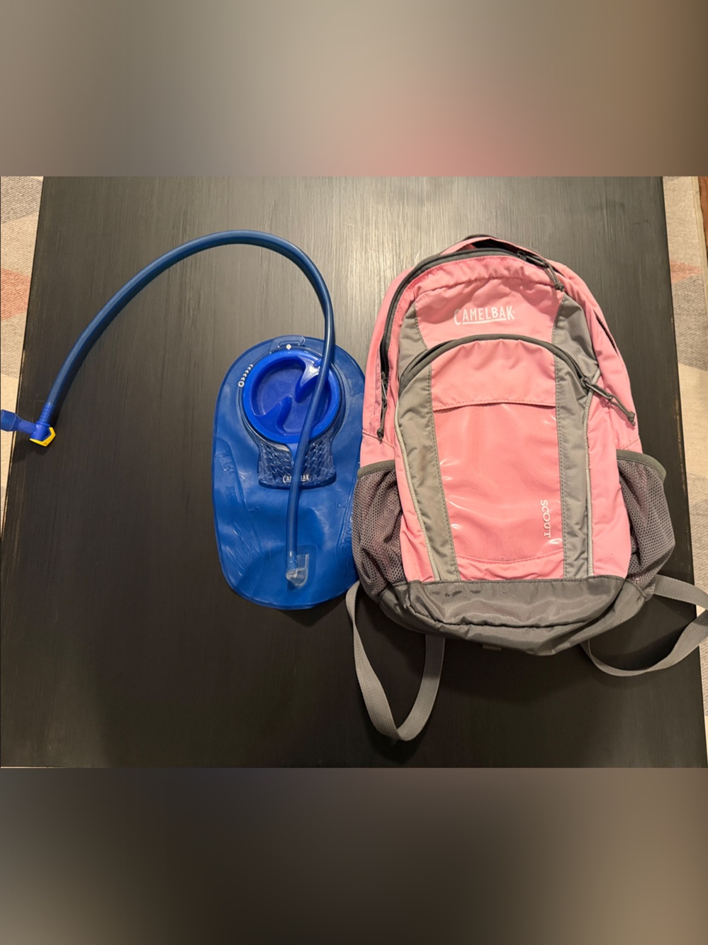 CamelBak Pink and Gray youth Hydration Backpack with Reservoir
